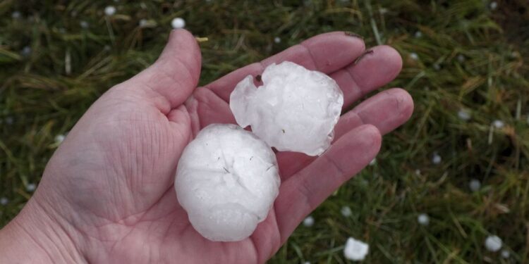 Mano sosteniendo dos grandes granizo después de una tormenta.