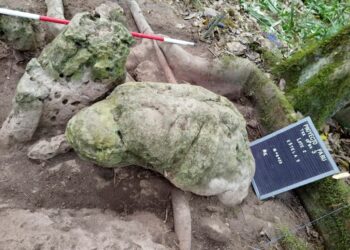 Foto de dos esculturas antropomórficas desenterradas en un sitio arqueológico.