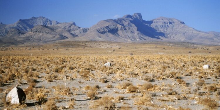 Paisaje del desierto con montañas en el fondo.