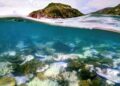 Esta foto submarina tomada el 5 de abril de 2024 muestra coral blanqueado y muerto alrededor de la isla Lizard en la gran barrera de arrecife, ubicada a 270 kilómetros (167 millas) al norte de la ciudad de Cairns.