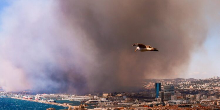 Humo de un incendio forestal masivo que oscurece una ciudad.