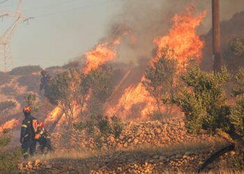 Los bomberos que luchan contra un incendio forestal.