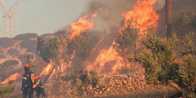Los bomberos que luchan contra un incendio forestal.