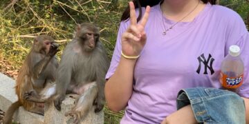 La mujer hace un signo de paz con monos detrás de ella.