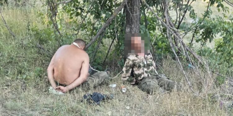 Dos hombres atados sentados debajo de un árbol.