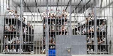 Docenas desaparecieron en los viajes de deportación de El Salvador, revelan los registros de vuelo