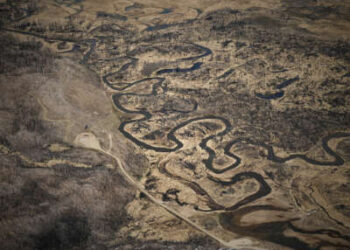El disminución del río Colorado corre a través del suelo marrón de un bosque quemado
