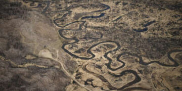 El disminución del río Colorado corre a través del suelo marrón de un bosque quemado