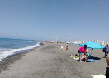Escena de playa con gente tomando el sol y natación.