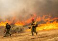 El incendio de Madre de California explota en tamaño para cubrir 70.800 acres