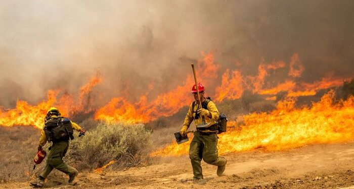 El incendio de Madre de California explota en tamaño para cubrir 70.800 acres
