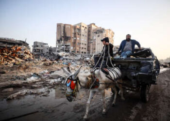 Un burro tira de un carro que lleva a un hombre a través de los escombros que alguna vez fue un vecindario