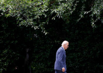 Joe Biden camina entre la vegetación