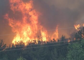 Humo que se eleva de un incendio forestal.