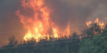 Humo que se eleva de un incendio forestal.