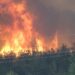 Humo que se eleva de un incendio forestal.
