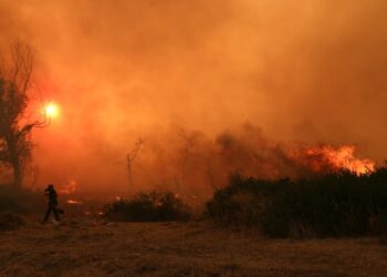 Bombero que lucha contra un gran incendio forestal.