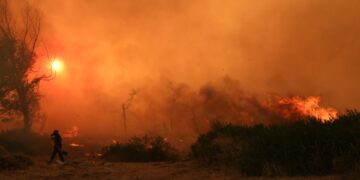 Bombero que lucha contra un gran incendio forestal.
