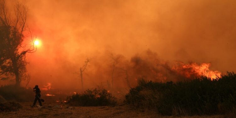Bombero que lucha contra un gran incendio forestal.