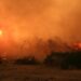 Bombero que lucha contra un gran incendio forestal.
