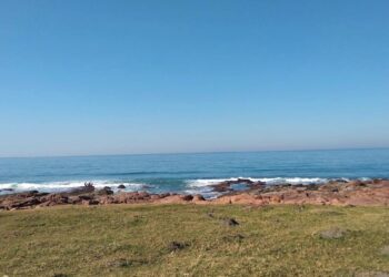 Vista oceánica desde el área cubierta de hierba con costa rocosa.