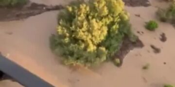 Vista aérea del área inundada con árboles sumergidos en agua fangosa.