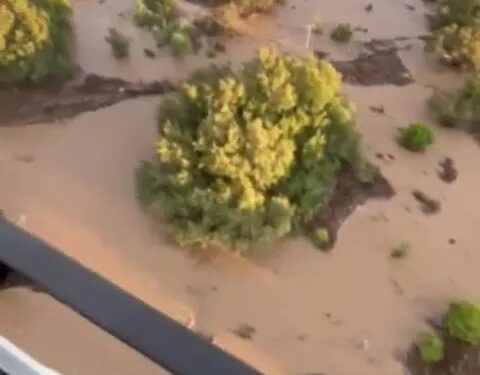 Vista aérea del área inundada con árboles sumergidos en agua fangosa.