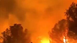 Los incendios forestales se desatan a través de los árboles, con personas siluadas en primer plano.