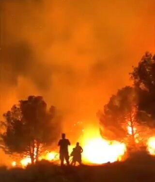 Los incendios forestales se desatan a través de los árboles, con personas siluadas en primer plano.
