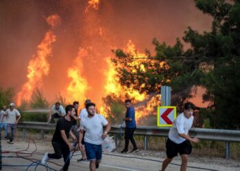 Bomberos y civiles que luchan contra un gran incendio forestal.
