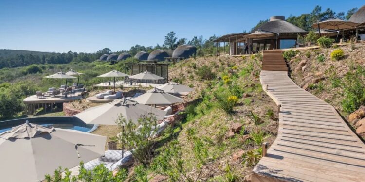 Gondwana Private Game Reserve Resort con una pasarela de madera y una piscina.