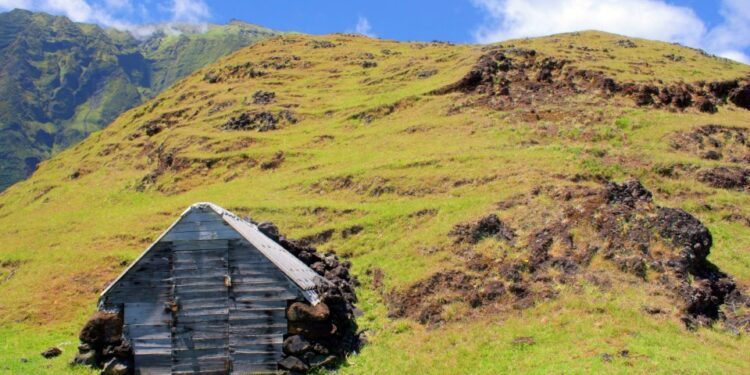 Camiseta de madera en una ladera cubierta de hierba.