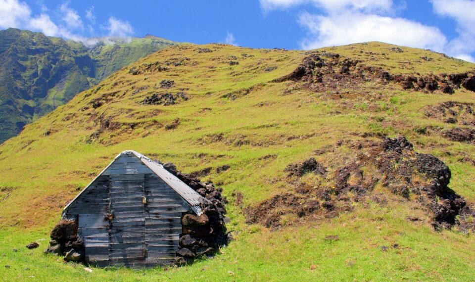 Camiseta de madera en una ladera cubierta de hierba.