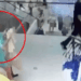 Captura de pantalla de una mujer con una camisa verde azulado que lleva algo en un centro comercial.