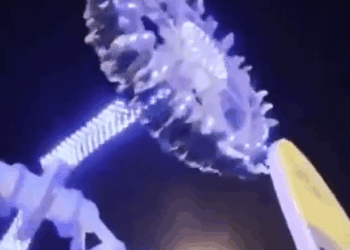 Paseo de parques de diversiones por la noche.