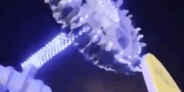 Paseo de parques de diversiones por la noche.