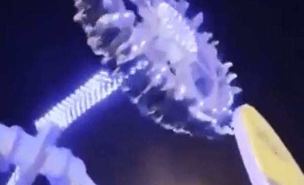 Paseo de parques de diversiones por la noche.