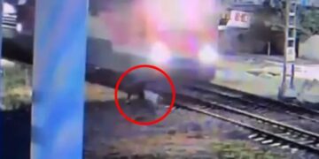 Persona golpeada por tren.