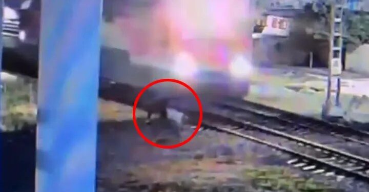 Persona golpeada por tren.