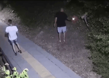 Dos personas por la noche, una sosteniendo una luz, cerca de un perro.