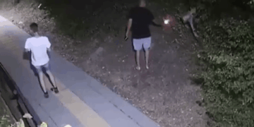 Dos personas por la noche, una sosteniendo una luz, cerca de un perro.