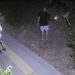 Dos personas por la noche, una sosteniendo una luz, cerca de un perro.