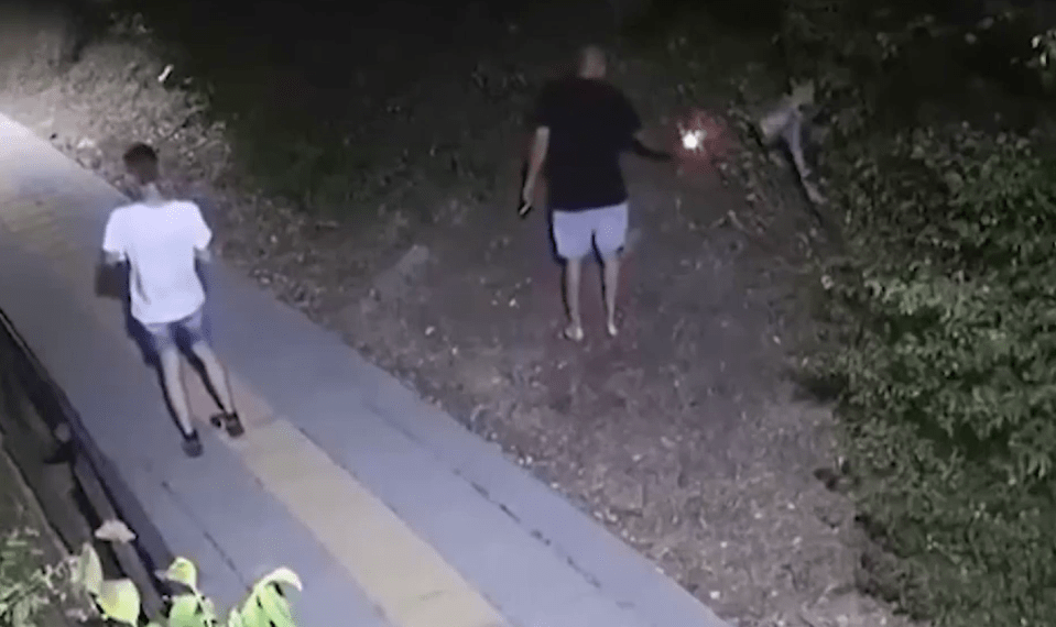 Dos personas por la noche, una sosteniendo una luz, cerca de un perro.