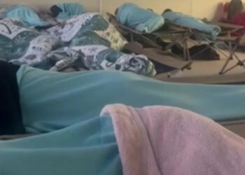 Pasajeros durmiendo en cunas en una habitación.