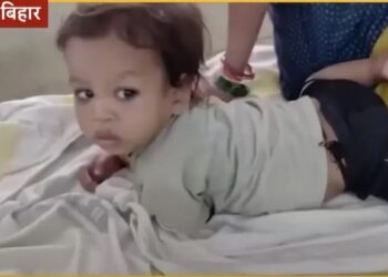 Niño pequeño en la India que mordió una cobra venenosa.