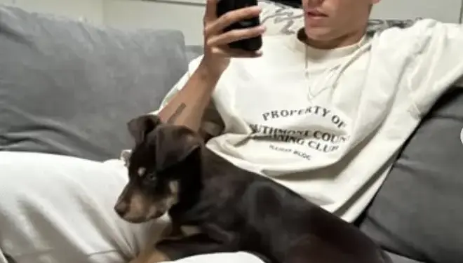 Por qué Miles Nazaire rehomió a Rocky