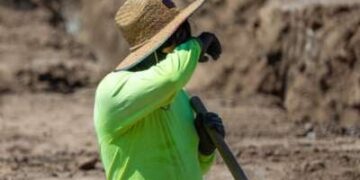 Un trabajador de la construcción se toma un descanso rápido para limpiarse la frente mientras cava una zanja con una pala en medio de una ola de calor en Irvine, California, el 5 de septiembre de 2024.