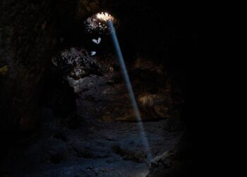Bats en Tinshemet Cave, Israel.