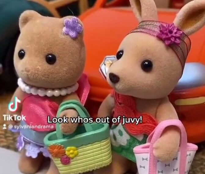 Tiktoker 'Sylvanian Drama' demandado por la empresa matriz en Copyright Row, https://www.instagram.com/sylvanianddrama/