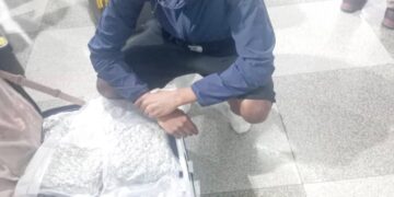 Un joven se arrodilla junto a una maleta llena de cannabis.